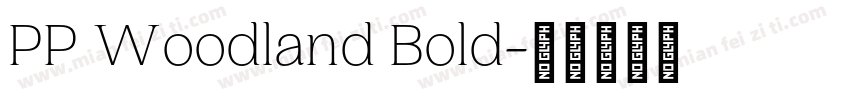 PP Woodland Bold字体转换